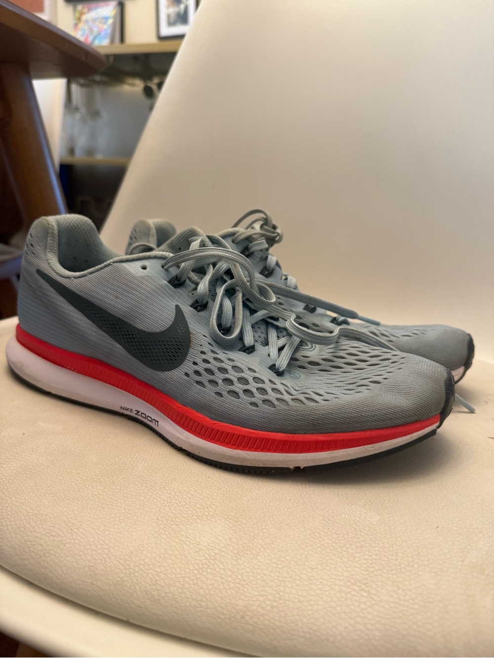 Women’s Nike Pegasus 34 Running Shoes